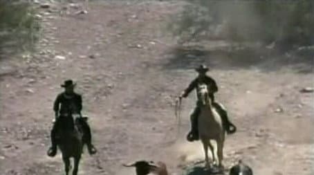 Capitulo 7