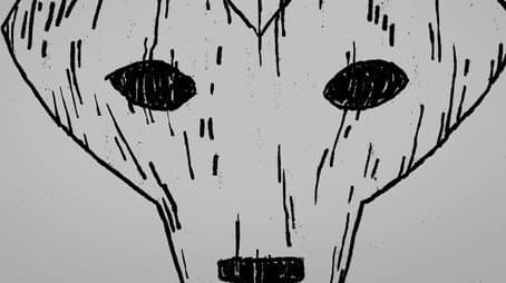 Capitulo 5
