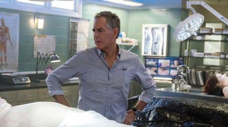 Capitulo 13