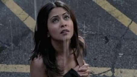 Capitulo 15