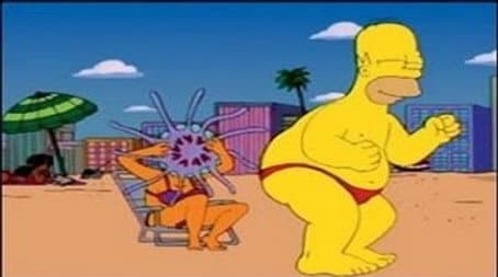 Capitulo 15