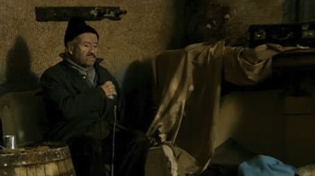 Capitulo 13