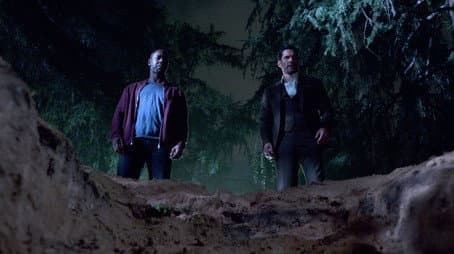 Capitulo 15