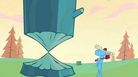 Capitulo 16