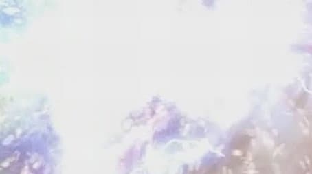 Capitulo 12