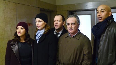 Capitulo 15