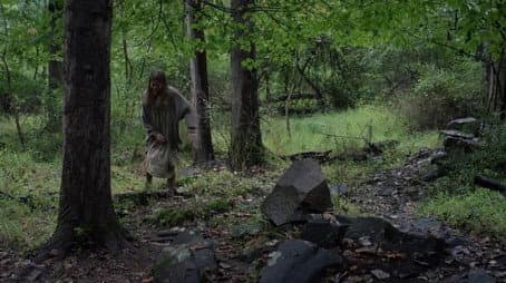 Capitulo 12