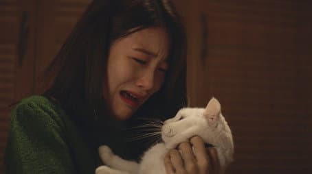 Capitulo 8