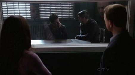 Capitulo 12