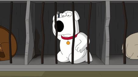 Capitulo 15