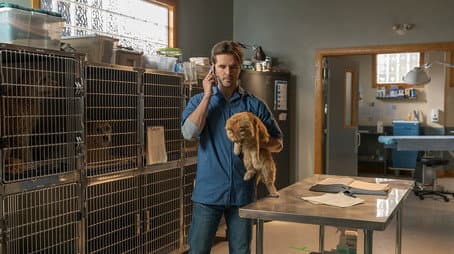 Capitulo 14