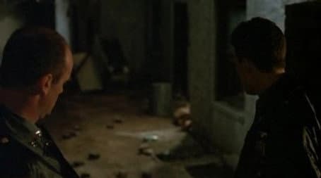 Capitulo 8