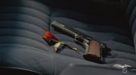 Capitulo 13