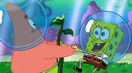 Capitulo 12