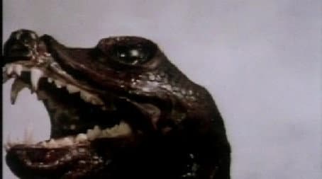 Capitulo 3