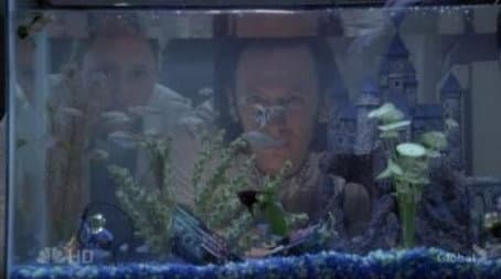 Capitulo 12