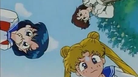 Capitulo 12