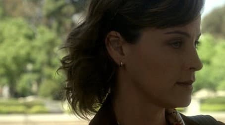Capitulo 12