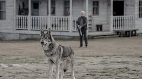 Capitulo 6