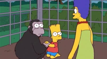 Capitulo 14