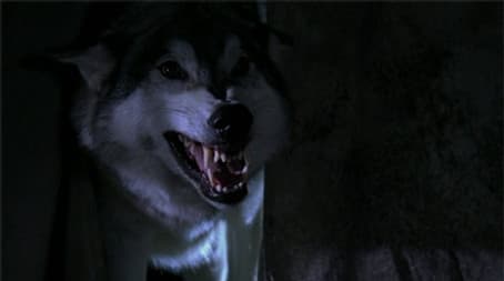 Capitulo 11
