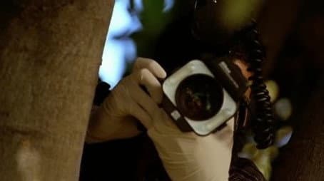 Capitulo 15