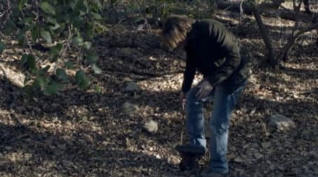 Capitulo 15