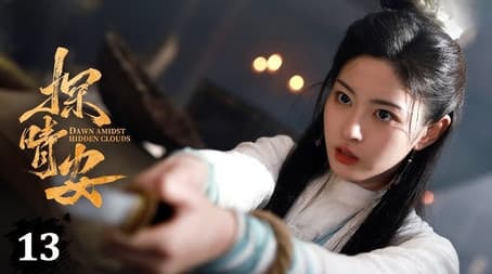 Capitulo 13