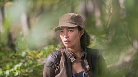 Capitulo 15