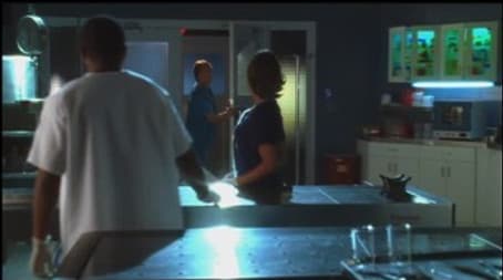 Capitulo 11