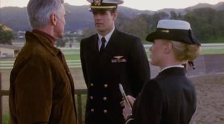 Capitulo 13