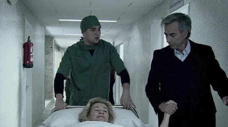 Capitulo 15