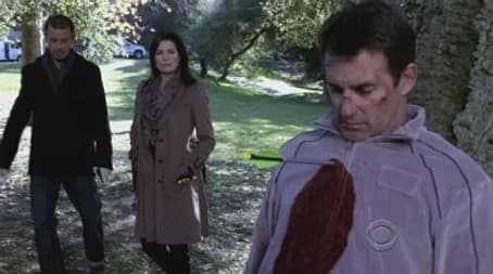 Capitulo 13