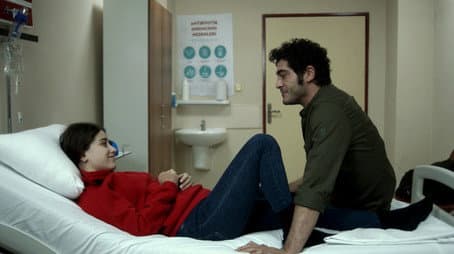 Capitulo 15