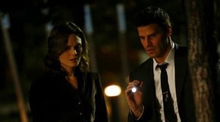 Capitulo 15
