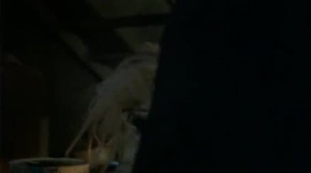 Capitulo 11