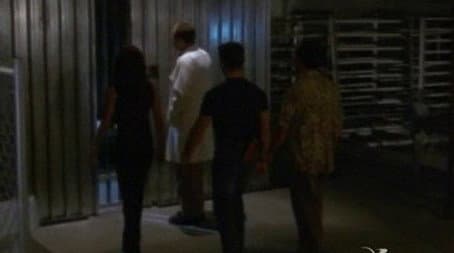 Capitulo 15