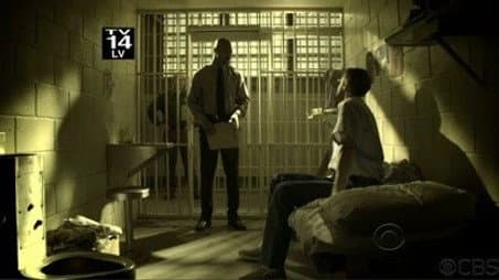 Capitulo 11