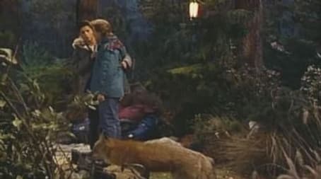 Capitulo 12