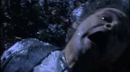 Capitulo 7
