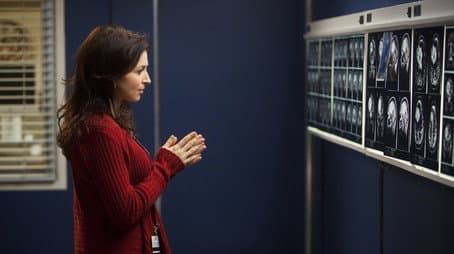 Capitulo 15