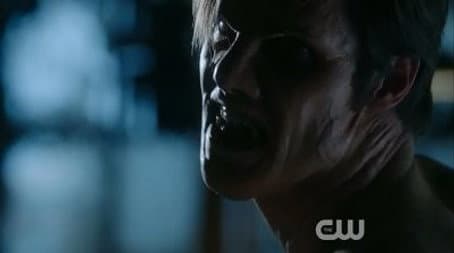 Capitulo 15