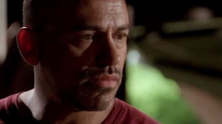 Capitulo 12