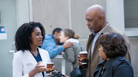 Capitulo 15