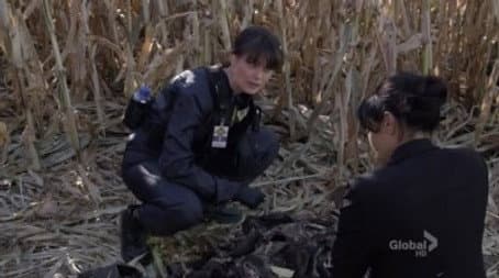 Capitulo 12