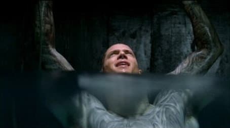 Capitulo 12