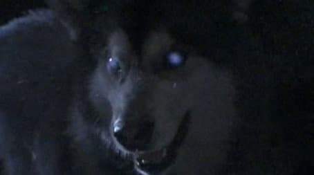 Capitulo 7