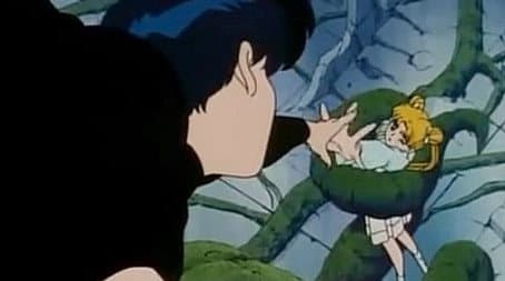 Capitulo 13