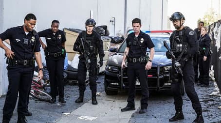 Capitulo 15