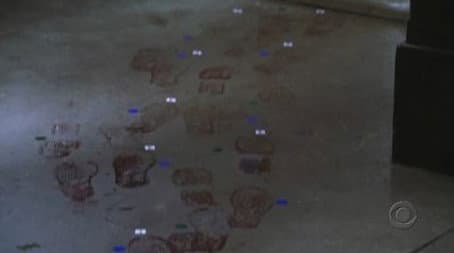 Capitulo 5